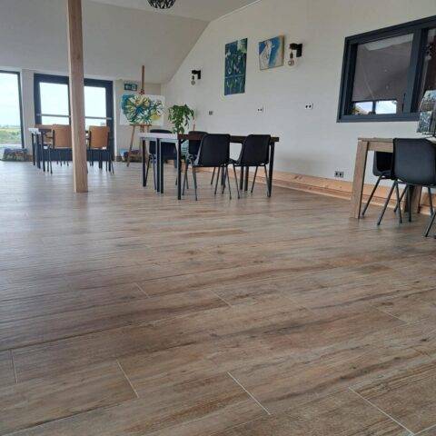 carrelage effet parquet 23x120 pas cher Avignon